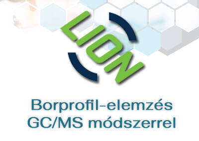 Borprofil-elemzés GC/MS módszerrel