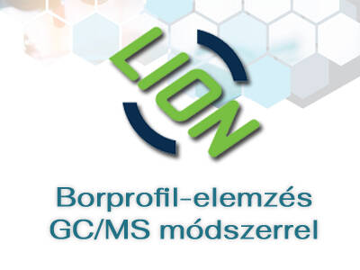 Borprofil-elemzés GC/MS módszerrel